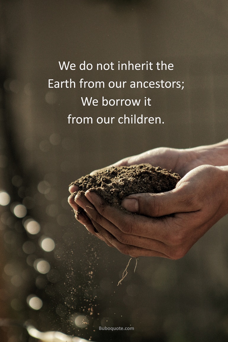 We do not inherit the earth from our ancestors; we borrow it from our children.