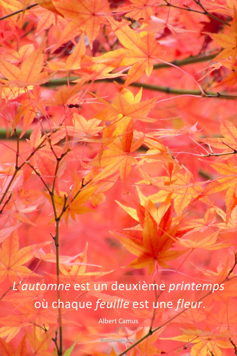 L'automne est un deuxième printemps où chaque feuille est une fleur.