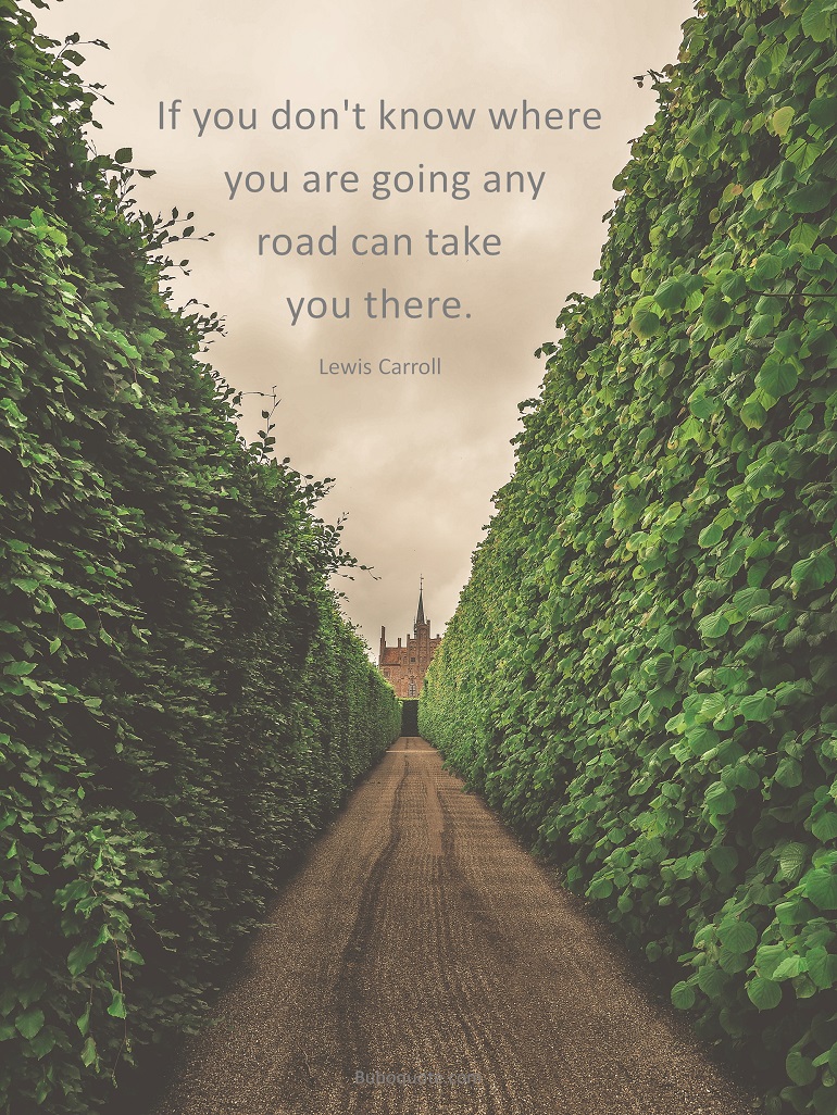 If you don't know where you are going any road can take you there.