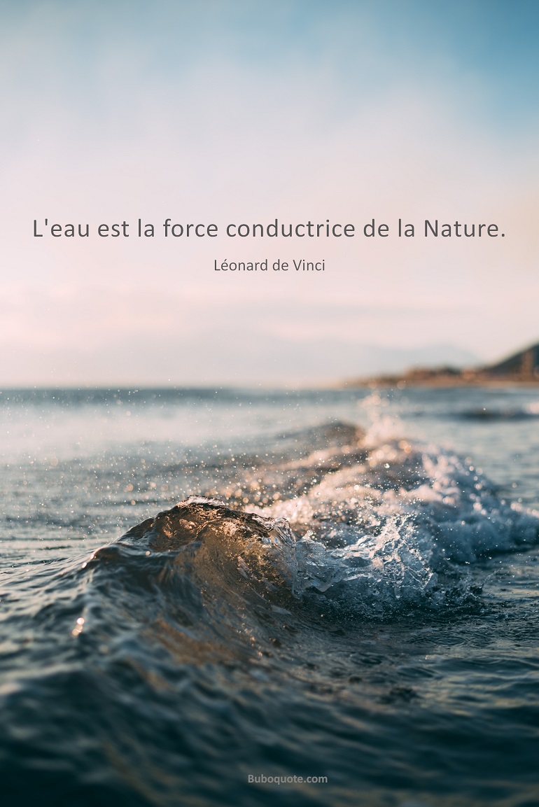 L Eau Est La Force Conductrice De La Nature De Vinci