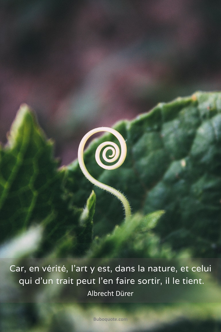 Car, en vérité, l'art y est, dans la nature, et celui qui d'un trait peut l'en faire sortir, il le tient.