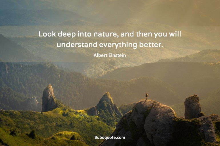 Look deep into nature, and then you will understand everything better.