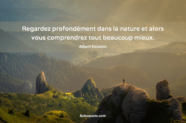 Regardez profondément dans la nature et alors vous comprendrez tout beaucoup mieux.