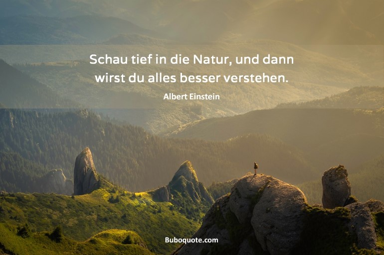 Schau tief in die Natur, und dann wirst du alles besser verstehen.