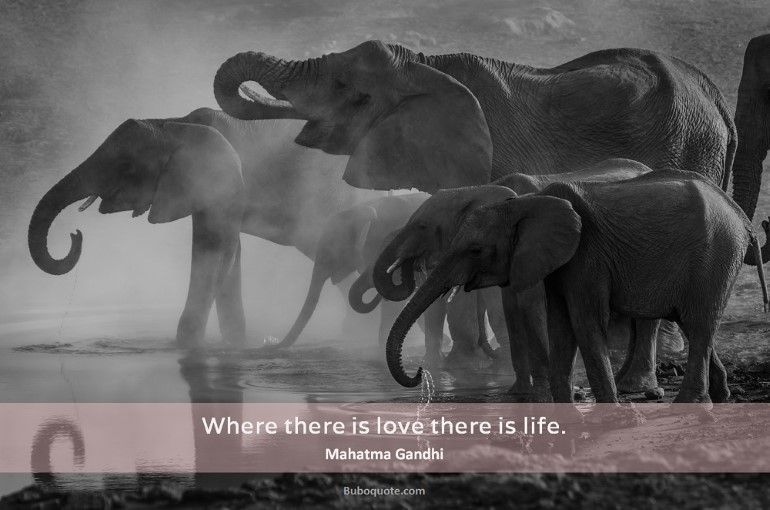 Where there is love there is life.