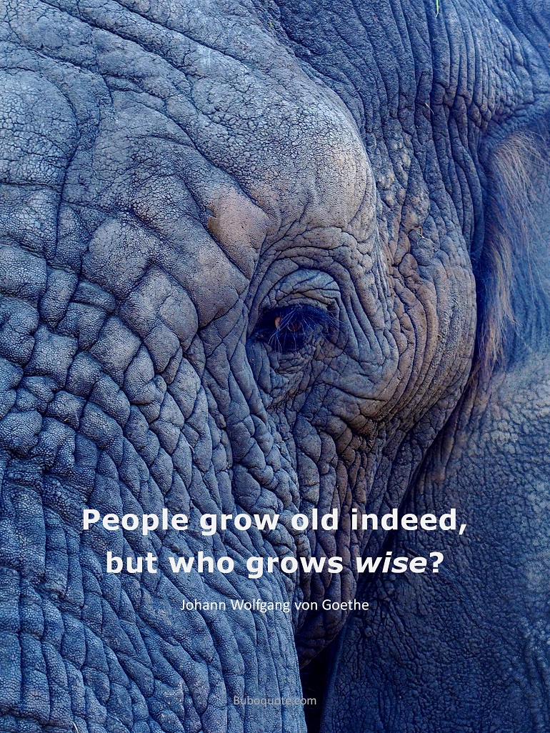 People grow old indeed, but who grows wise?