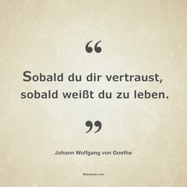 zitate goethe leben