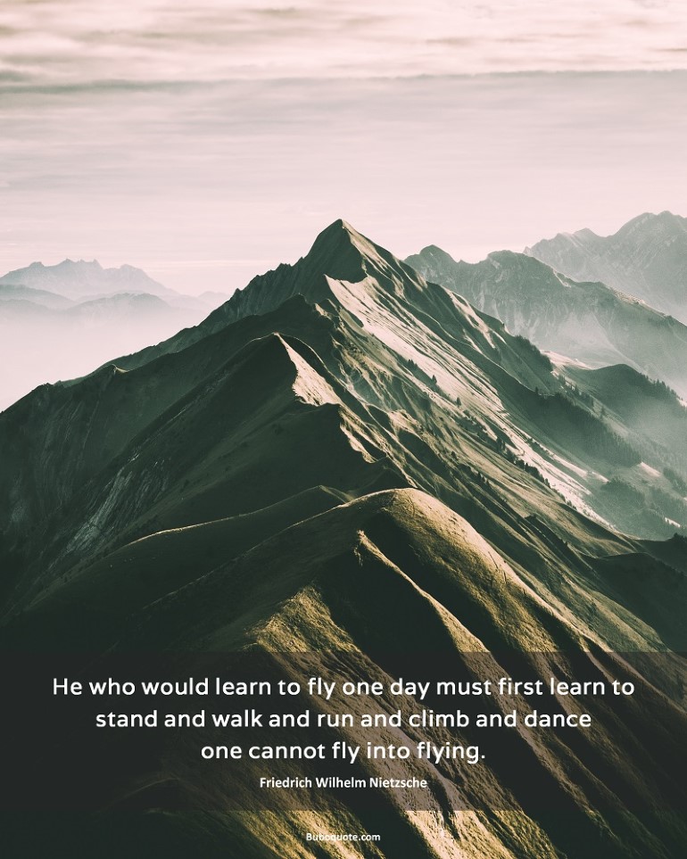 He who would learn to fly one day must first learn to stand and walk and run and climb and dance; one cannot fly into flying.”