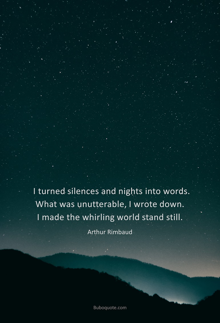 I turned silences and nights into words. What was unutterable, I wrote down. I made the whirling world stand still.