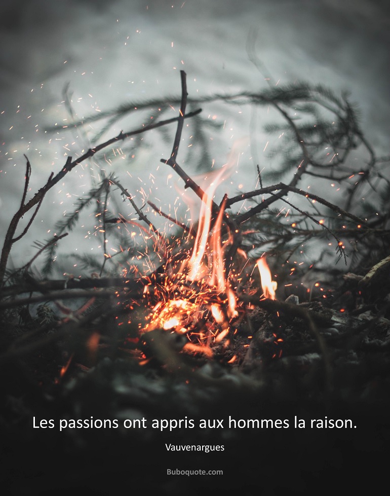 Les Passions Ont Appris Aux Hommes La Raison Vauvenargues Reflexions Et Maximes