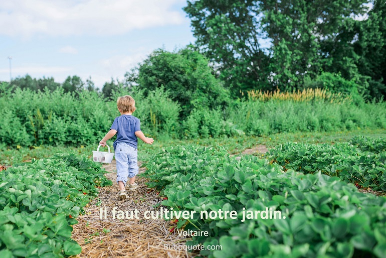 Il faut cultiver notre jardin.