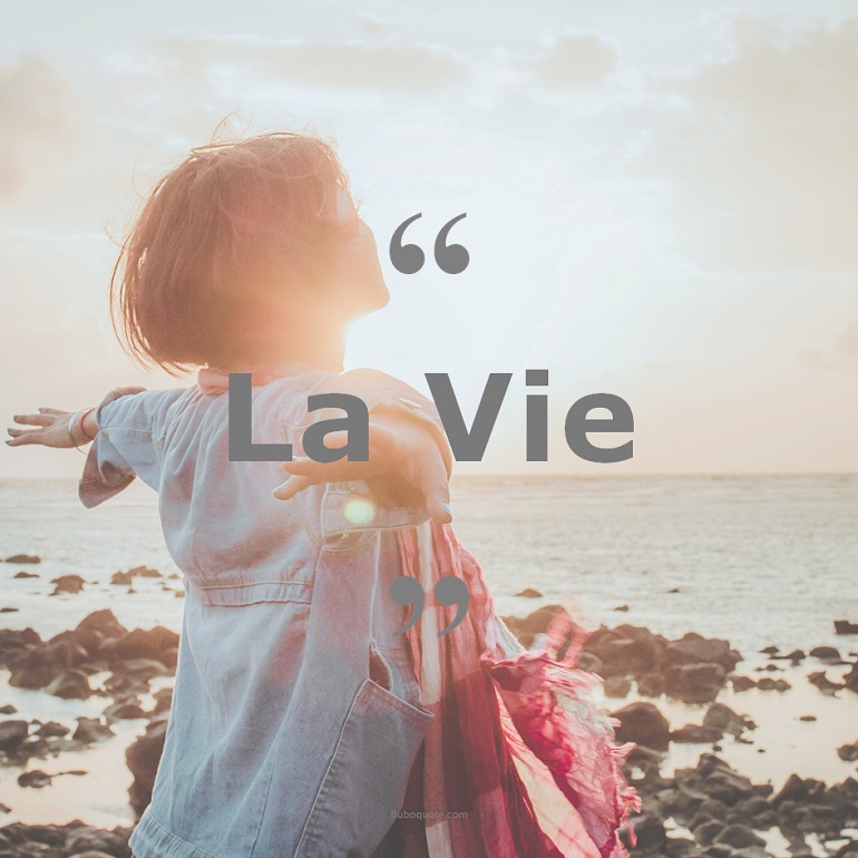 Citations sur le thème : Vie