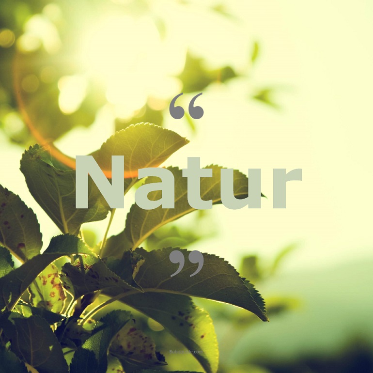 Zitate zum Thema: Natur