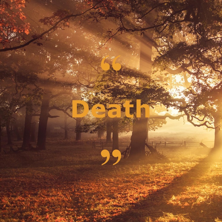 Quotes for: death