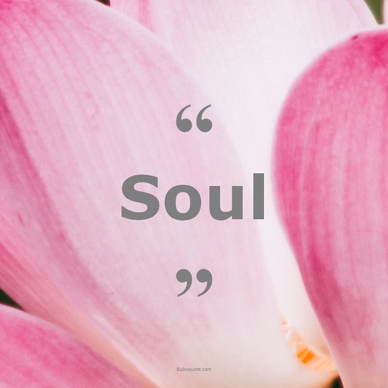 Quotes for: soul