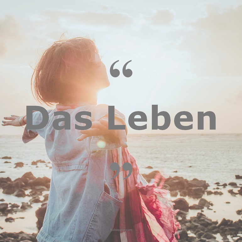 Zitate zum Thema: Leben