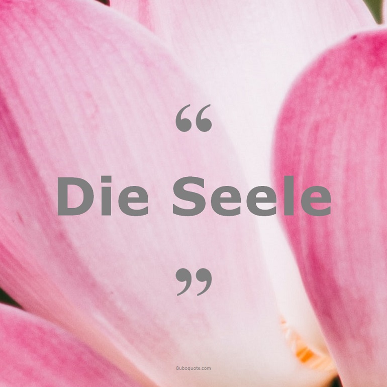 Zitate zum Thema: Seele